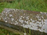 image of grave number 152535